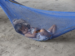 Zwischen zwei Palmen - Laos